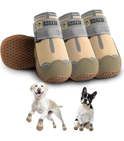 Dog Shoes For Hot Pavement ASENKU Dog Shoes, Waterproof Dog Rain
