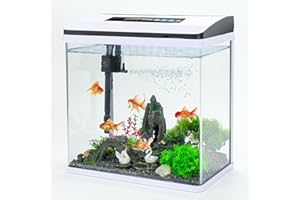Bluecoco Glass Aquarium Fish Tank Starter Kit with Temperature and Time Display for Betta Fish Featuring Crystal Clear 360° Viewing, Eco-Cycle Filtration, Air Pump, and 7-Color LED Lighting (6 Gallon)