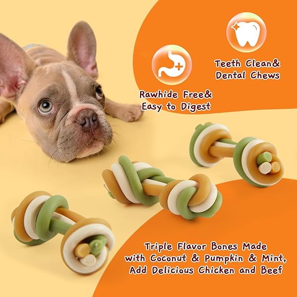 JUNGLE CALLING RAWHIDE FREE DOG DENTAL TREATS, TRIPLE FLAVOR DENTAL CHEWS FOR DOGS, EASY TO DIGEST, TEETH CLEAN DOG BONES FOR SMALL DOGS, 10.6 OZ