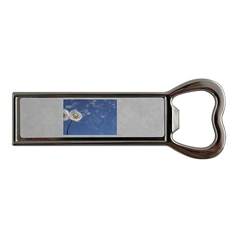 Compra PickYourImage Semillas que soplan lejos de los diente de ...