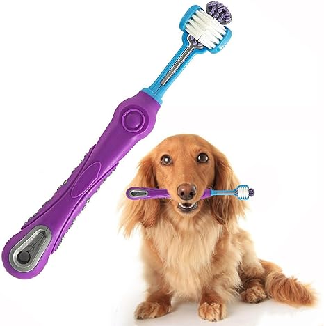 amazon dog toothbrush