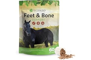 Silver Lining Herbs Feet & Bone Support Horse Supplement Powder Natural Tendons, Ligaments & Surrounding Tissues & Hoof Supplement for Horses - Normal Limbs Circulation Horse Care Supplies - 1 LB