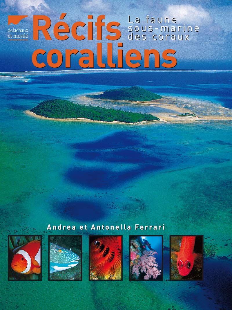 Amazonfr Récifs Coralliens La Faune Sous Marine Des -