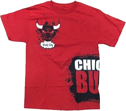 chicago bulls windy city t shirt