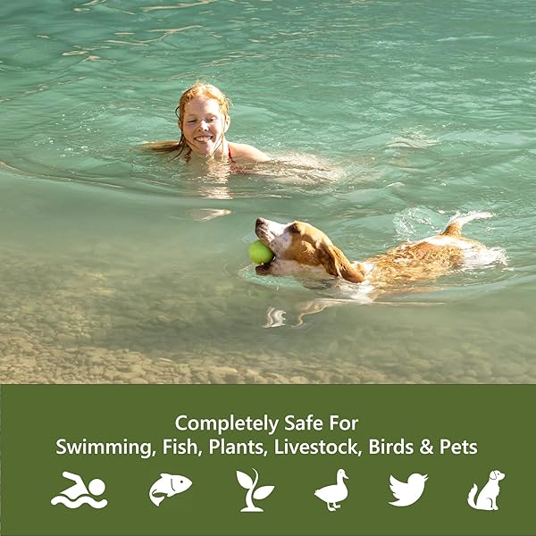 MUCK REDUCER NATURAL POND SLUDGE REMOVER 10 LB (20 SCOOPS) POND TABLETS TREATS 2.5 ACRES MUCK REMOVAL FOR PONDS & LAKES, WATER GARDEN,FOUNTAIN AWAY ODOR CONTROL,SAFE FOR FISH,AQUATIC LIFE,WILDLIFE,PET
