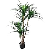 Pure Garden Artificial Tree - 51-Inch Tropical Yucca Plant with Rubber Leaves and Natural Trunk for Living Room, Bedroom and Office - Faux Plants