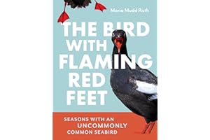 The Bird with Flaming Red Feet: Seasons with an Uncommonly Common Seabird
