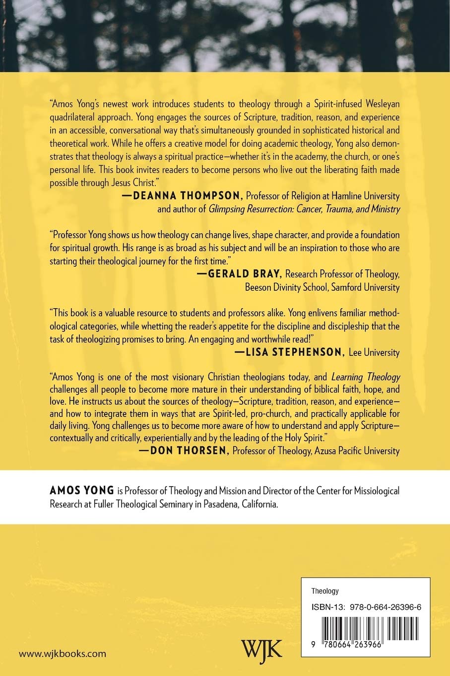 Learning Theology Tracking The Spirit Of Christian Faith Yong 9780664263966 Amazon Com Books