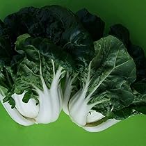 Amazon Com Cabbage Seeds Pak Choi Nabi Queen Dwarf Hybrid 1 Oz 4500 Seeds Non Gmo F1 Hybrid Asian Garden Vegetable Patio Lawn Garden Amazon Com Cabbage Seeds Pak Choi Nabi Queen Dwarf Hybrid 1 Oz 4500 Seeds Non Gmo F1 Hybrid Asian Garden Vegetable Patio Lawn Garden