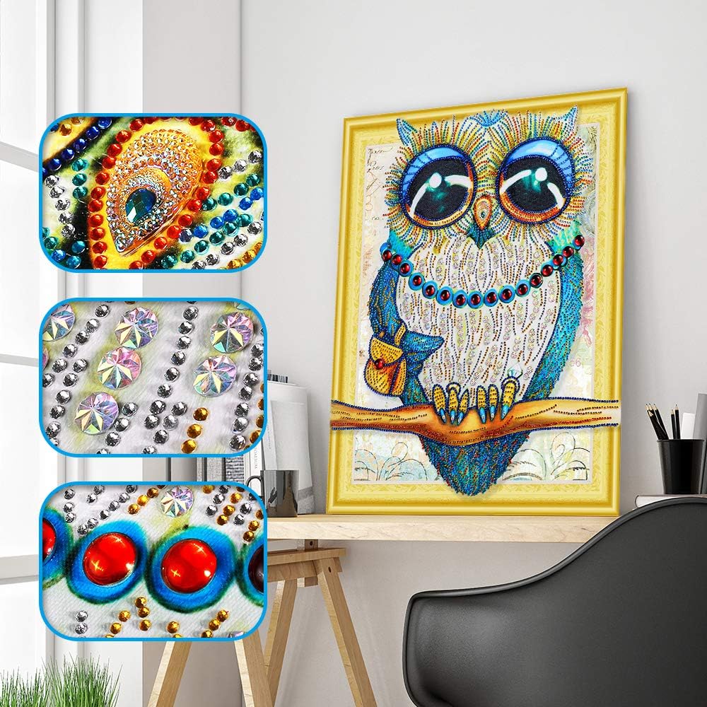 Blue Owl DIY 5D Diamond Painting Special Shaped Cross Stitch Kits Crystal Rhinestone Diamond Embroidery Partial Drill Paintings Pictures Arts Craft for Home Decoration 11.8 X 15.7 Inch