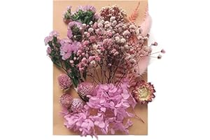 Kioiner Natural Dried Flowers, Real Dried Pressed Flowers, Size A5 Mixed Multi-Color Pressed Flower Leaves Petals for Resin C