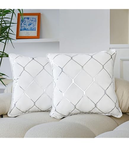 Amazon.com: MUAMCZFDC Silver Wolf Anime Body Pillow Cover