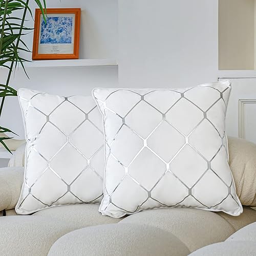 WACOMECO Silver Throw Pillow Covers, Pack of Soft Velvet