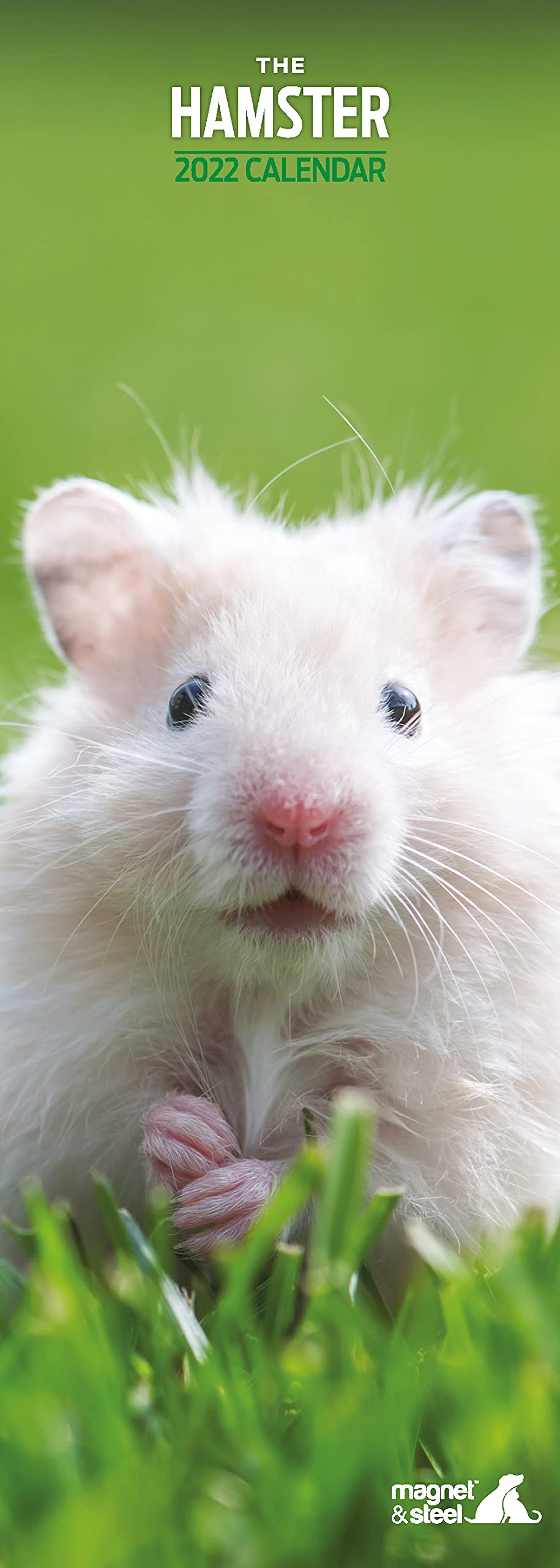 Magnet & Steel Hamsters Slim 2022 Calendar