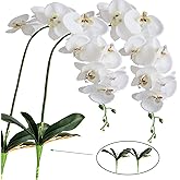FagusHome 41 Inches Artificial Silk Phalaenopsis Flowers 2 Pcs with 2 Bundles Leaves Artificial Orchid Flowers Stem Plants in White for Décor (Large)