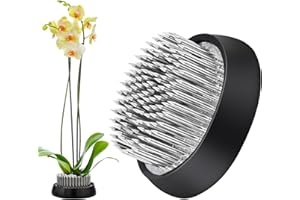 YNCOTTE Flower Frog, Flower Arrangement Supplies Floral Holder Kenzan Pin for Flower Arranging (50mm)