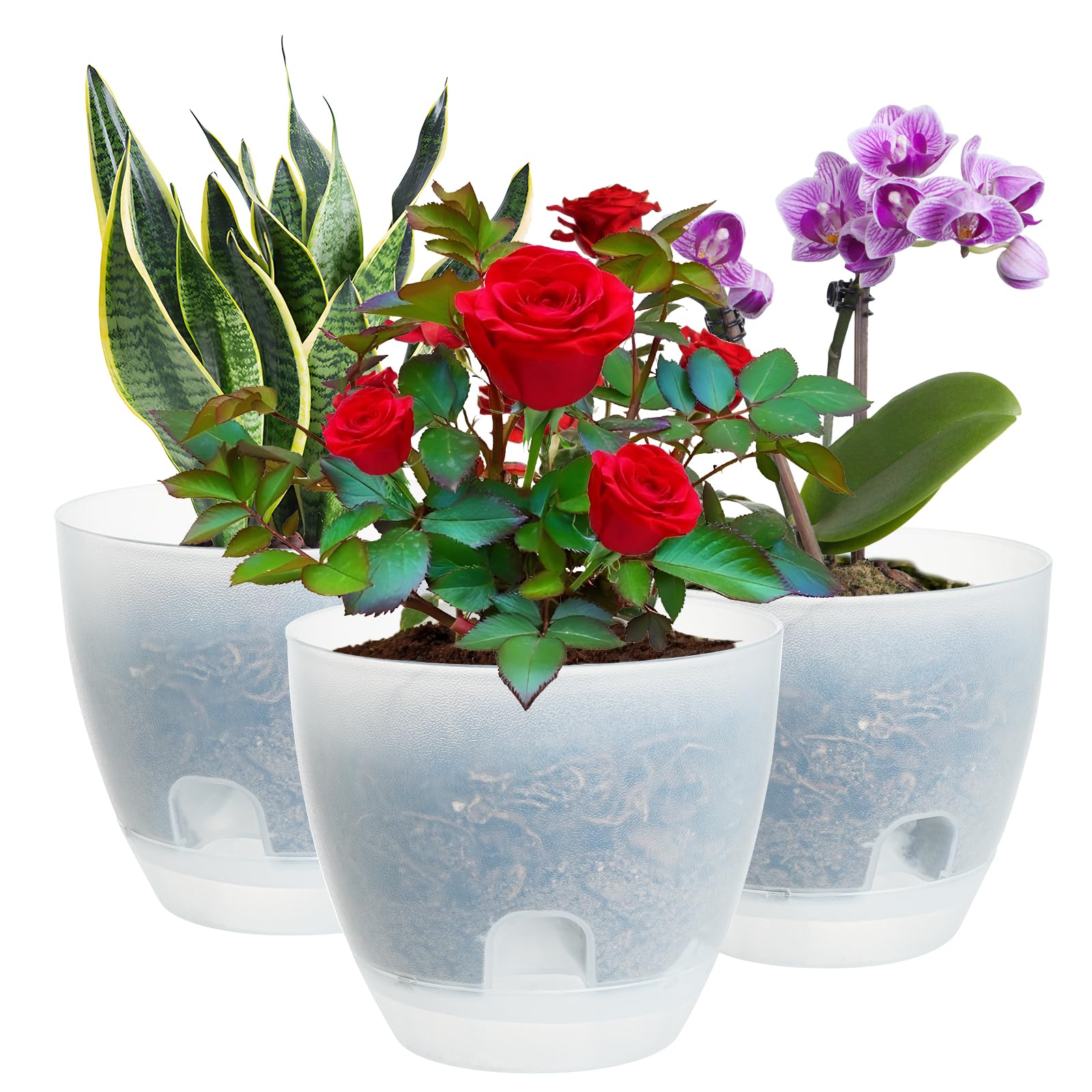 IWTTWY Self Watering Plant Pot Set Pack of 3, 15cm Clear Plastic Flower Pots, Orchid Pots Planters for Indoor with Drainage Maintains, Seed Seedling Pots for African Violet, Rose, Tulips (Clear)
