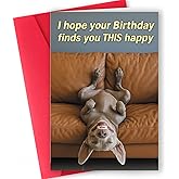 ICOOLYI Funny Birthday Card and Gift for Men or Women – Hilarious and Lighthearted Decorative Design – Perfect for Friends, Family, Coworkers, Him or Her