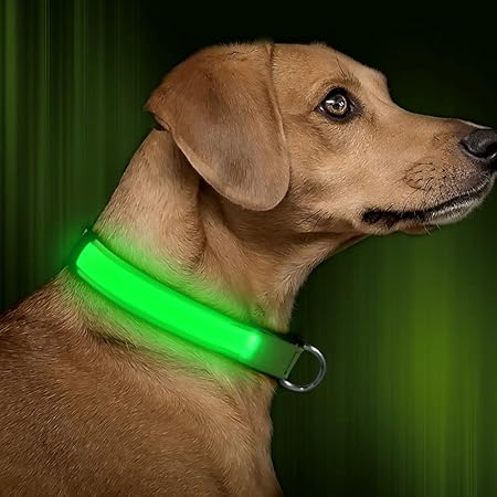 led lighted dog collars