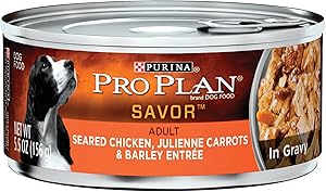 Purina Savor Beef/Lamb 5.5oz 24pk