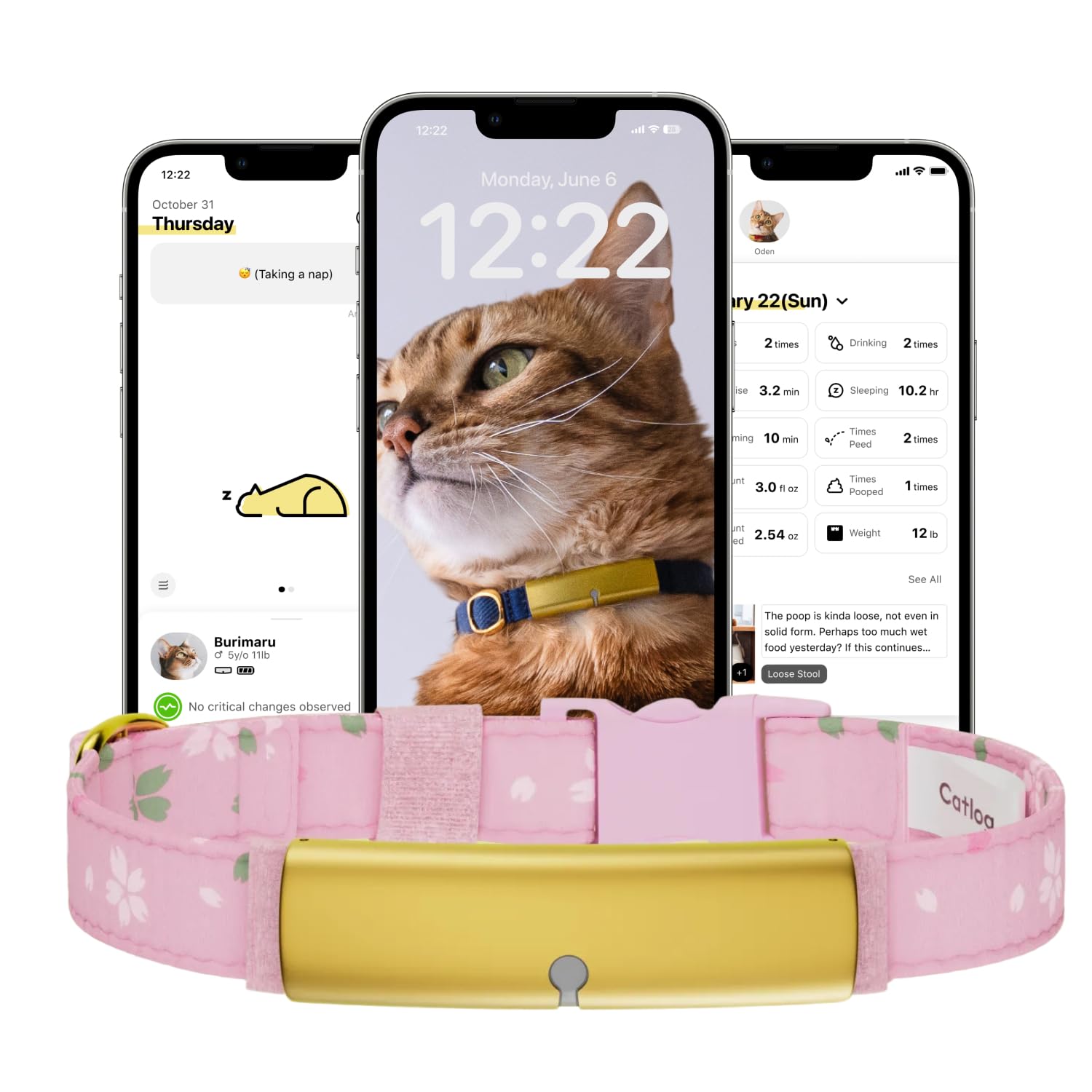 Photo 1 of Catlog Health Tracker for Cats - Smart Cat Collar with Safety Breakaway Buckle for Indoor Cats, Wellness Alerts, Real-time Monitoring (Kimono (Sakura),XXL)
