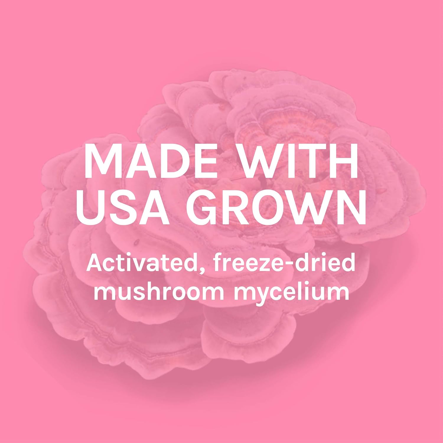 Host Defense, Turkey Tail, 120 Capsules, Natural Immune System and Digestive Support, Daily Mushroom Mycelium Supplement, USDA Organic, 60 Servings: Health & Personal Care