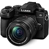Panasonic LUMIX G95D 20.3 Megapixel Mirrorless Camera, 12-60mm F3.5-5.6 Micro Four Thirds Lens, 5-Axis Dual I.S. 2, 4K 24p 30