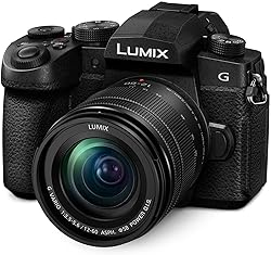 Panasonic LUMIX G95D 20.3 Megapixel Mirrorless