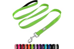 PenSeepet Dog Leash 6 FT Padded Handle Nylon Reflective Dogs Leashes for Small Dogs Puppy Green