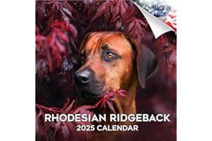 MEGACALENDARS 2024 2025 Rhodesian Ridgeback Calendar - Dog Breed Monthly Wall Calendar - 12 x 24 Open - Thick No-Bleed Paper - Giftable - Academic Teacher's Planner Calendar Organizing & Planning