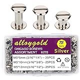 ALLOYGOLD 75 Sets Silver Chicago Screws 1/4 3/8 1/2 Leather Assorted Kit ，3 Sizes of Screw Rivets for Leather Rivet for DIY L