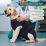 Kuoser Dog Recovery Suit Shirt After-Surgery Blue Stripe XS view 6