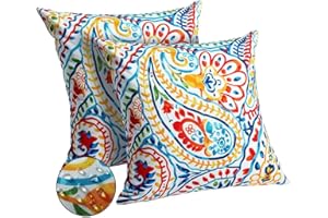 DFXSZ Outdoor Pillow Covers 18x18 Inch Set of 2 Colorful Paisley Decor Waterproof Throw Pillow Covers Farmhouse Outdoor Waterproof Pillow Covers Decor for Patio Funiture Garden Sofa Couch 7A