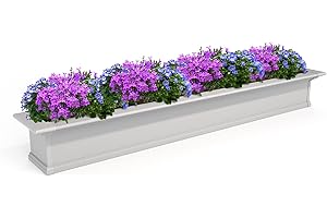 Yorkshire 6FT Window Box - White