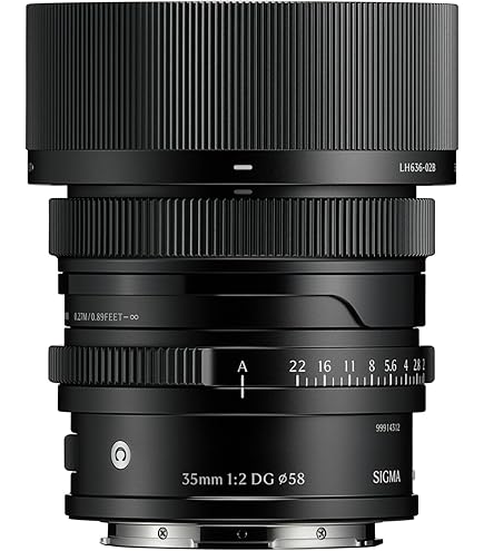 Amazon.com : 35mm F1.4 DG DN for L- Mount Black : Electronics