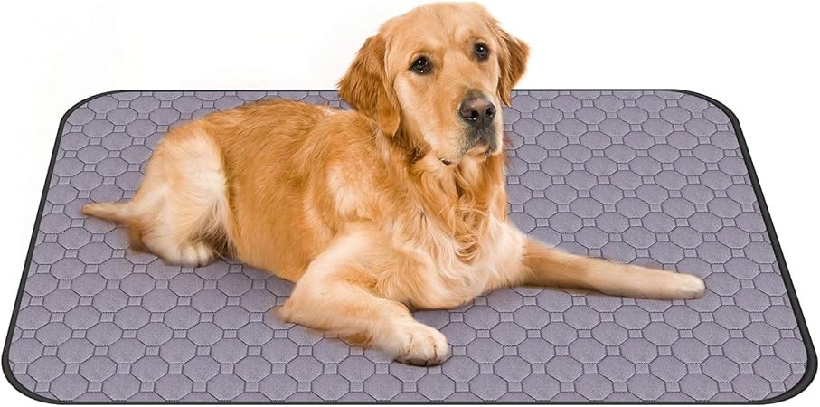 dog incontinence pads