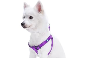 Blueberry Pet Essentials Step-in Dog Harness, Small Size | Adjustable Dark Orchid Vest | Classic Solid Nylon for Boy & Girl Dogs, Chest Girth 16.5" - 21.5"