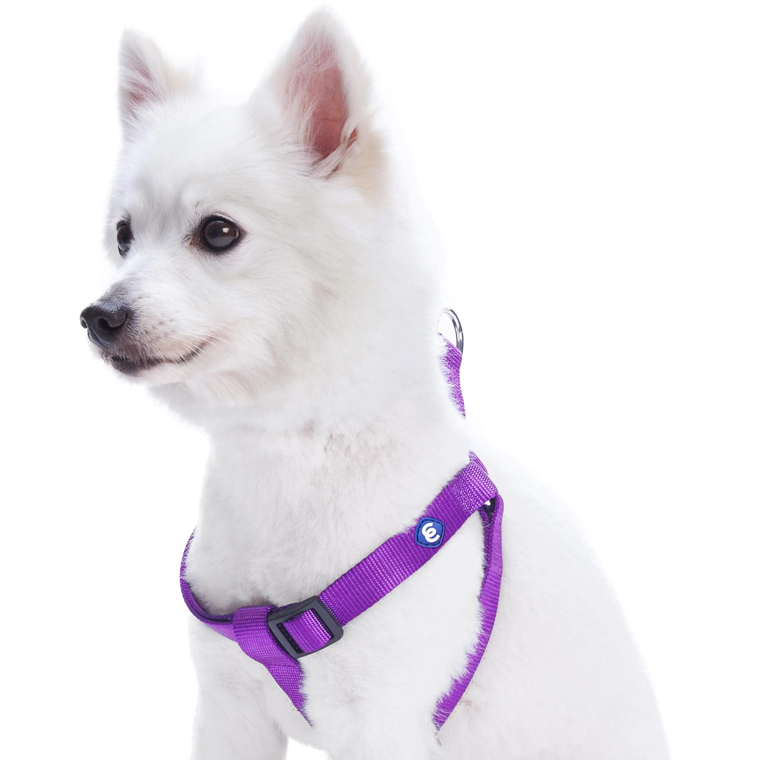 Blueberry Pet Harness. Chest circumference: 51-66 cm, Classic, Solid, Purple Orchid, Adjustable Nylon, Dog Harness, Matching Collar and Lead Sold Separately.