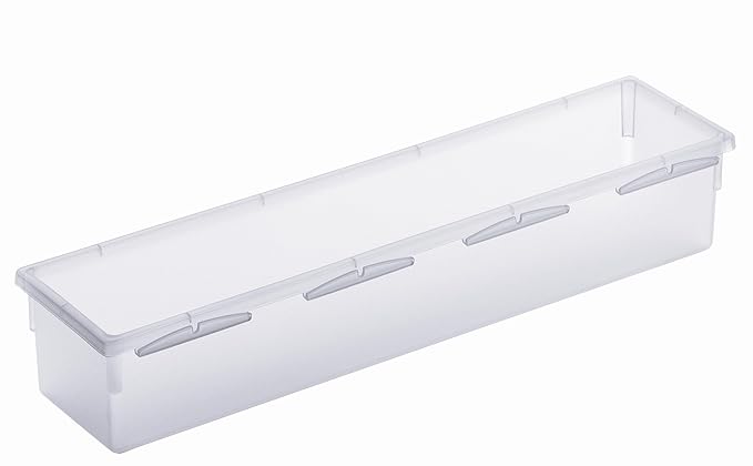 Rotho Basic Ordnungssystem, Kunststoff (PP), transparent, (30 x 8 x 5 cm)