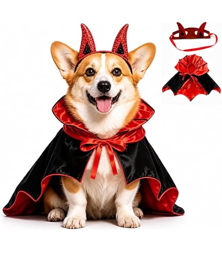 Amazon.com: Forum Novelties 80441 Pet Costume-Devil Hoodie, Small