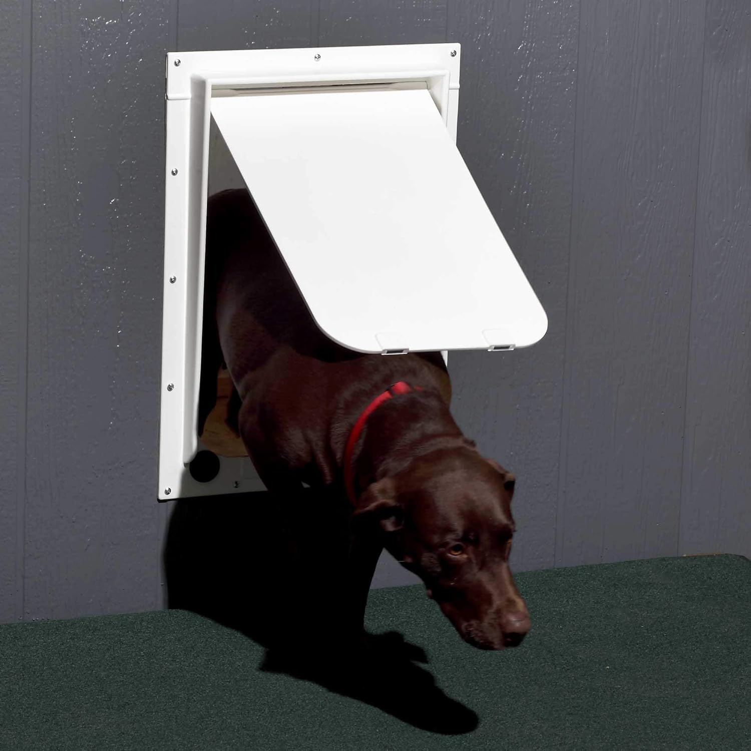 magnador dog door