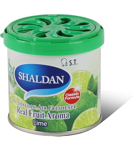 Amazon.com: Auto Dynasty My Shaldan Japanese Room/Car Limonene Gel