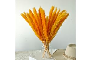 EEAIVNM 30PCS Small Pampas Grass Dried Flowers Dried Natural Floral Arrangement Decoration Reed Dried Grass,Eternal Flower Pampas Reed Dried Grass Used for Home,Wedding,Party,Flower Bouquet,Photo (Orange)