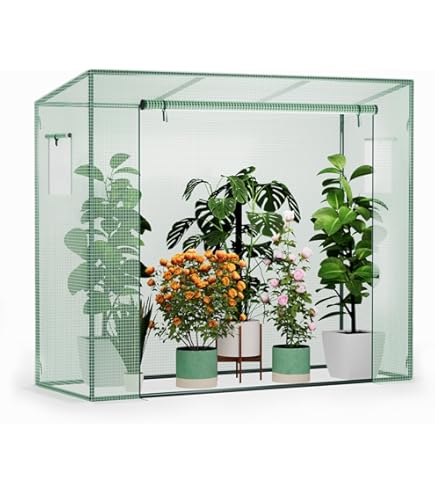 Amazon.com : Renatone Walk-in Greenhouse with Roll-Up Window