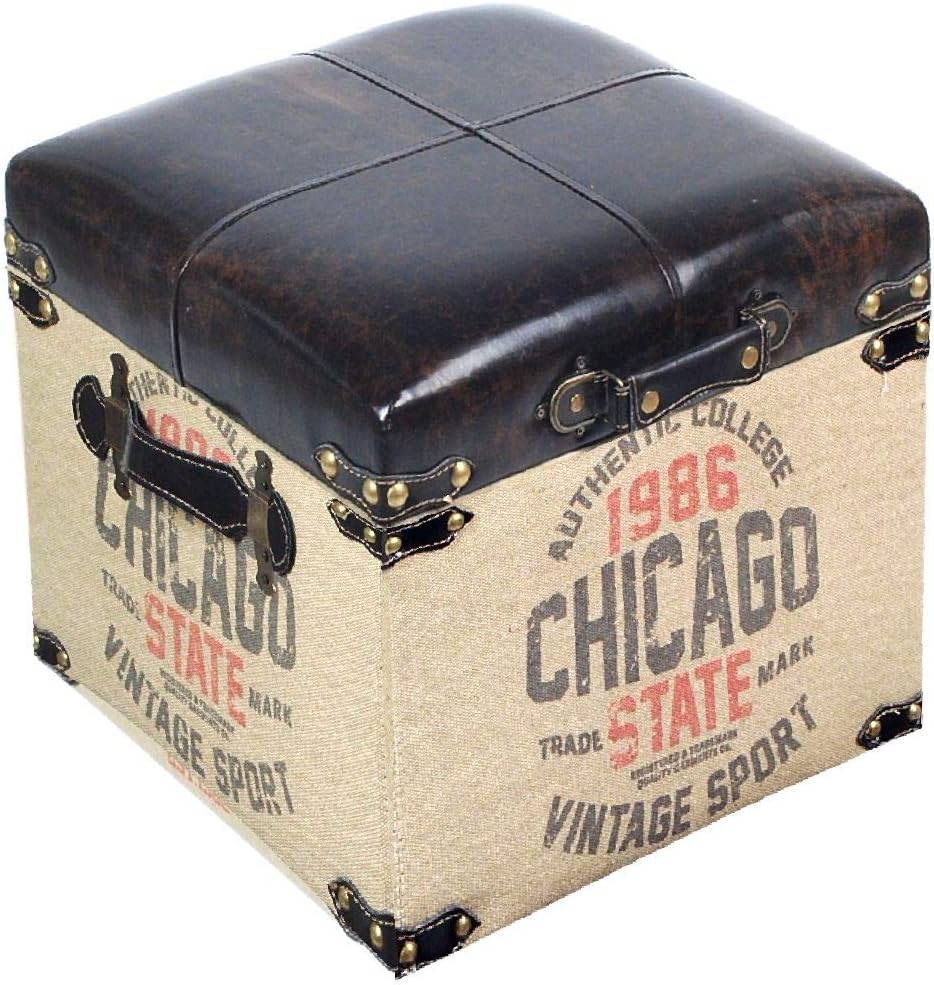 Chicago Retro - Caja de almacenaje (34 cm): Amazon.es: Hogar