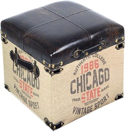 Chicago Retro - Caja de almacenaje (34 cm) : Amazon.es: Hogar ...