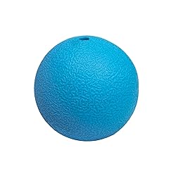 Amazon Basics Squeaker Toy Dog