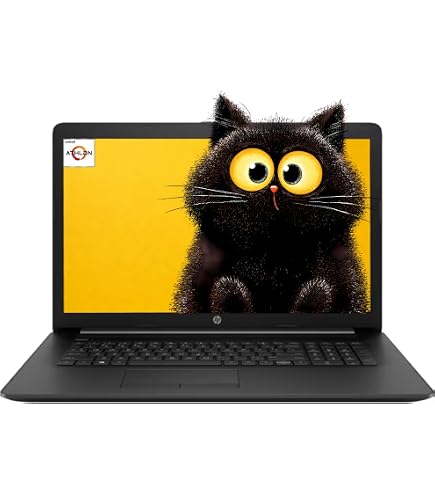 Amazon.com: Dell Inspiron 17 3793-17.3