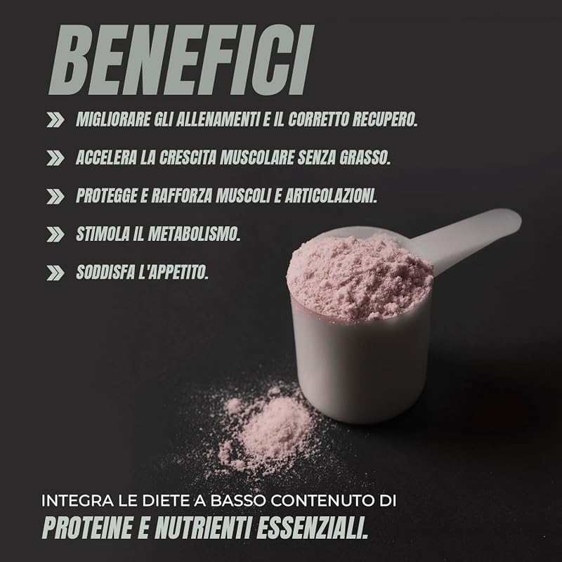 Whey Protein | Proteina Whey pura con Collagene e Magnesio | Migliora i tuoi allenamenti | Protegge e aumenta la massa muscolare | 1000g di proteina (Fragola)