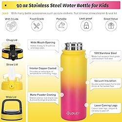 OLDLEY Insulated Water Bottle with Straw 20oz